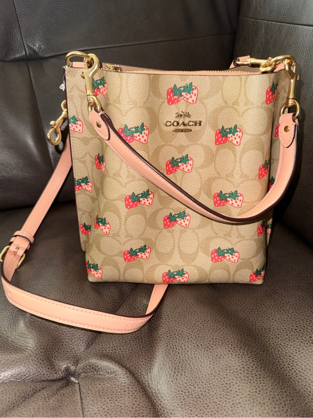 Coach Strawberry Mollie Bucket Bag 22 in Signature Canvas